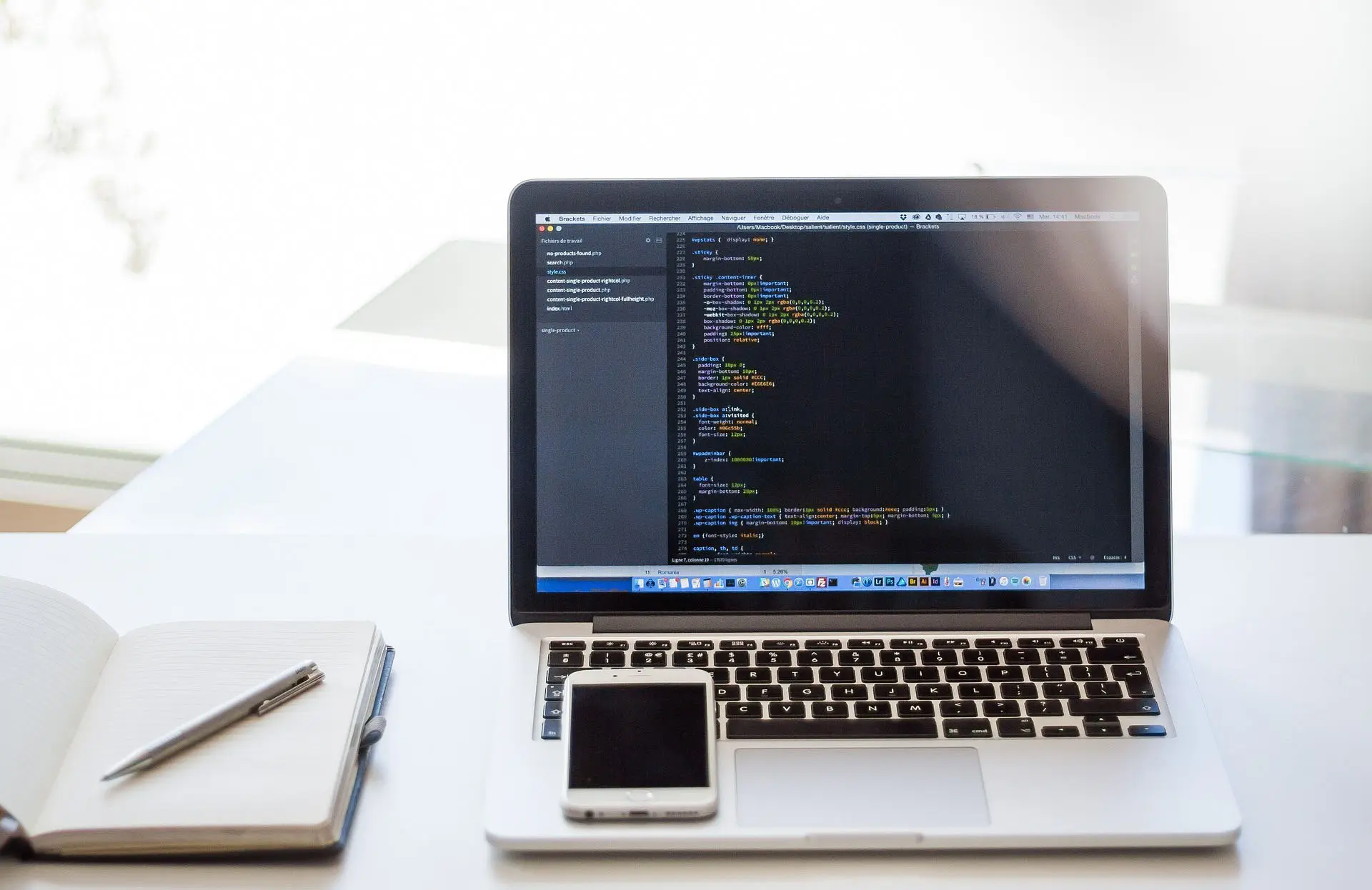 Software Development
